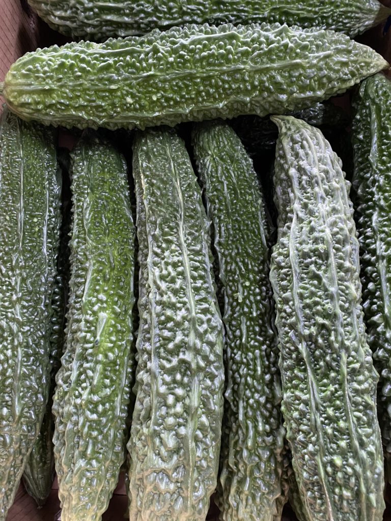 ゴーヤ 株 第一鹿屋青果